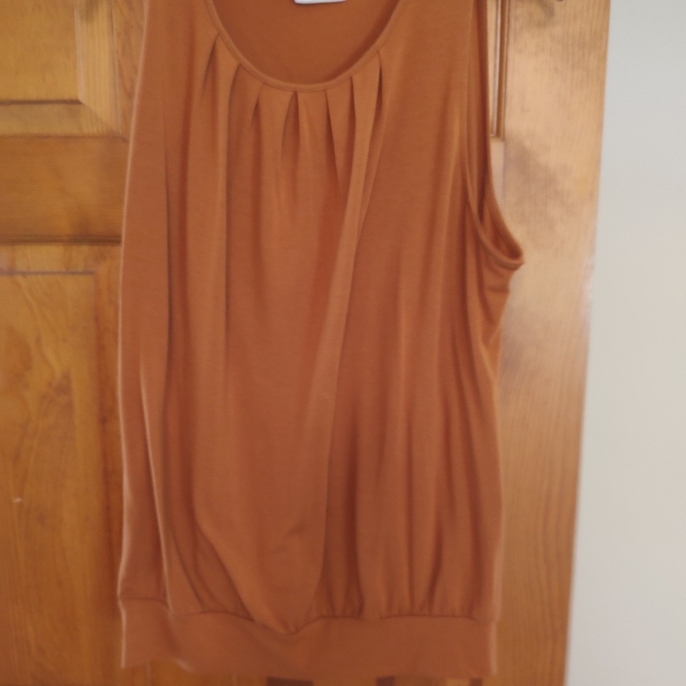 Rust Sleeveless Top